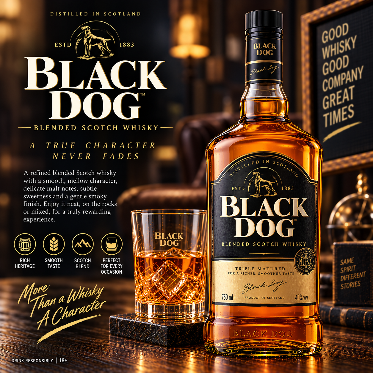 BLACK DOG